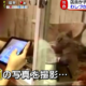 【めざましテレビ】虐待？ペットショップの子猫わしづかみ動画が話題